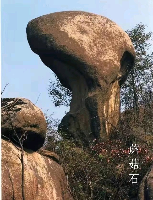 韩庚的《泌阳铜山蘑菇石》