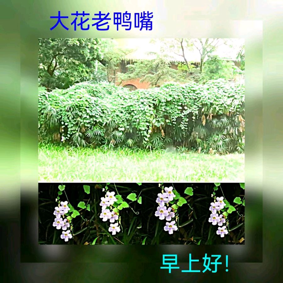 联机全球发布马洪武作品欣赏（图361）