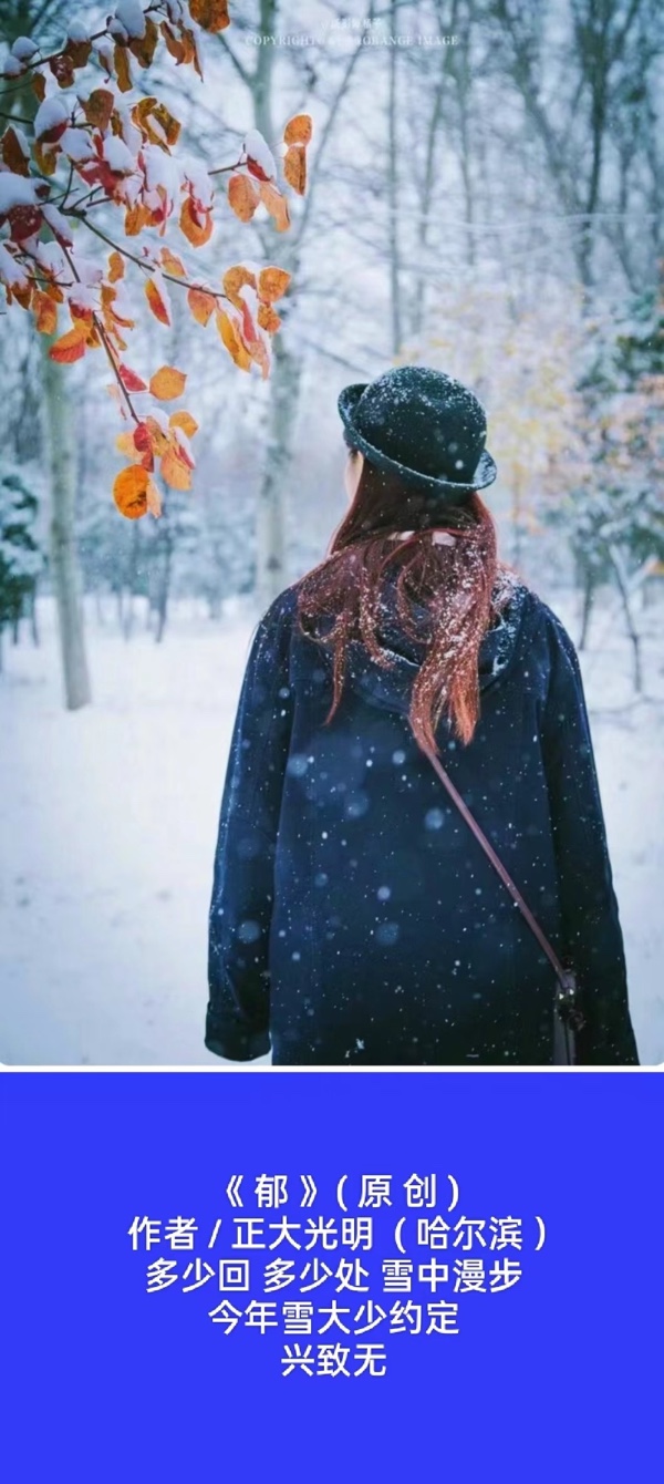 💖 题图微诗一组 - 又到雪飘时 作者 / 正大光明 ( 哈尔滨 ）京津沪头条