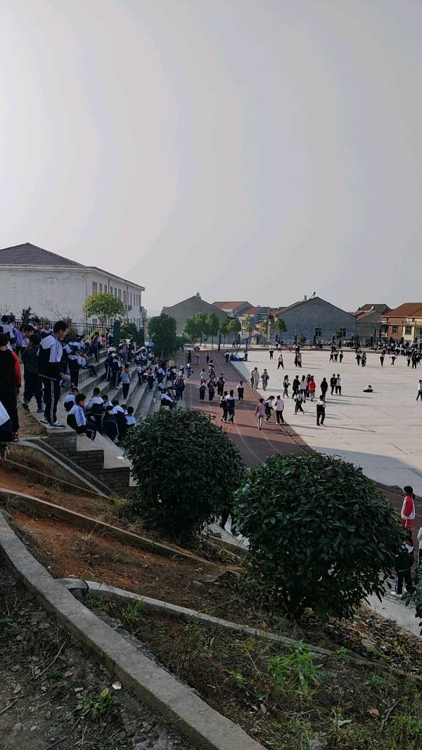 金色中国：《羡慕小伙伴》（图3）