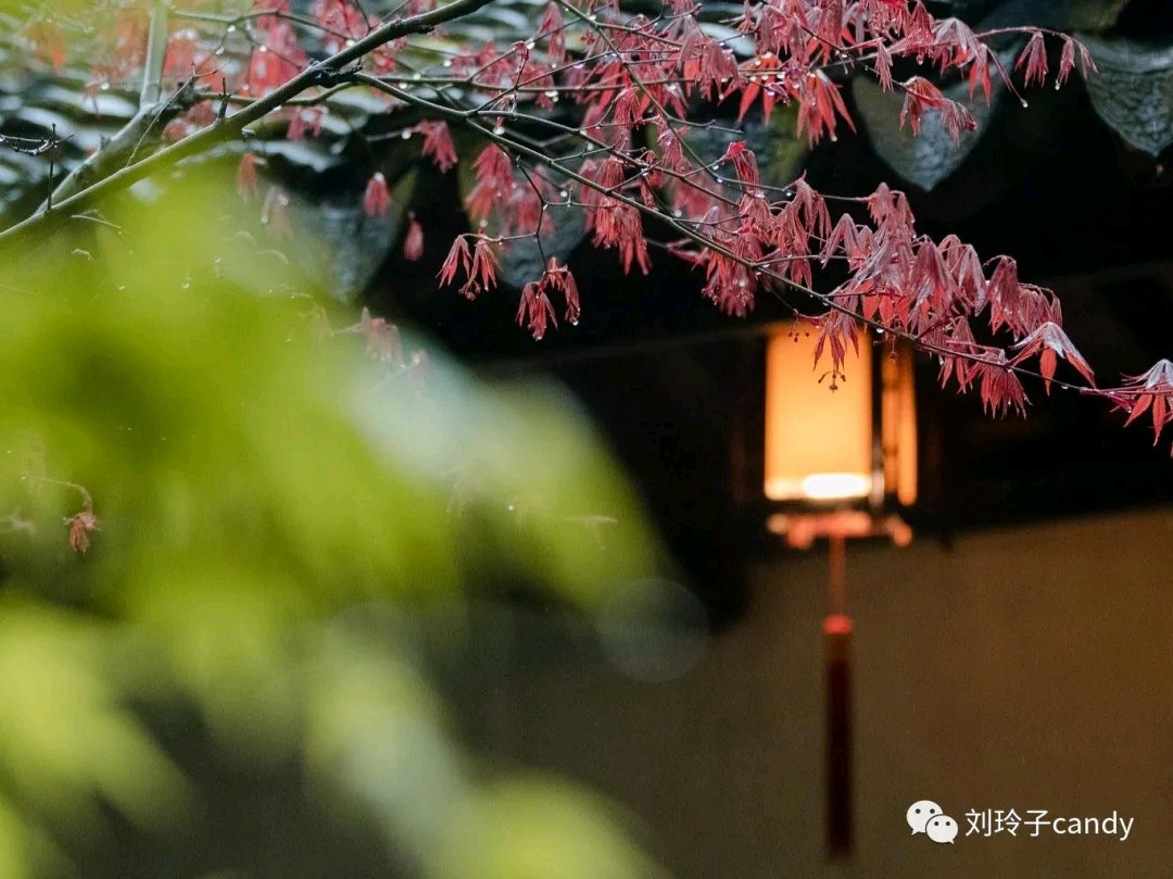 东方书剑的《七律•野望》