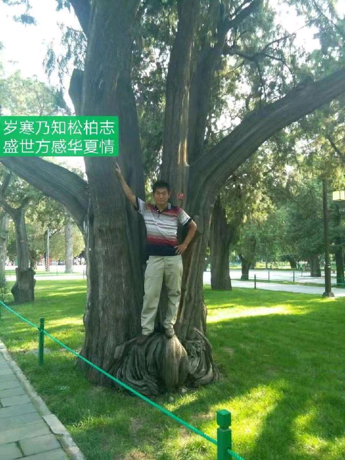 古塔文学 ‖【今天，英雄回家】作者/习学林 朗诵/刘强（图2）
