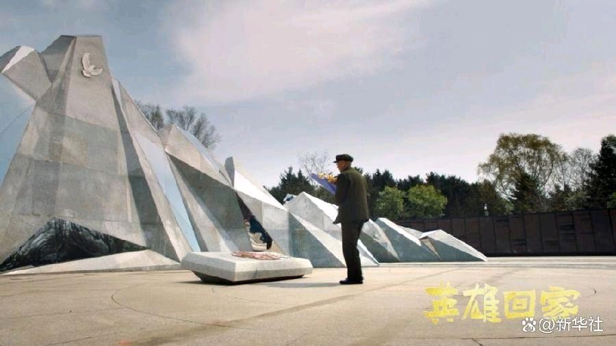 古塔文学 ‖【今天，英雄回家】作者/习学林 朗诵/刘强（图6）