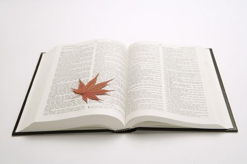 *诗歌小辑*程宝玉〔内蒙古〕【冰心文化传媒】（图13）