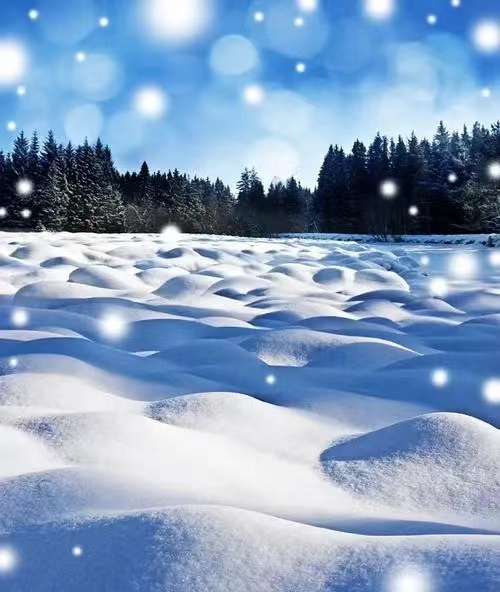 雪／Ice Cream（图8）