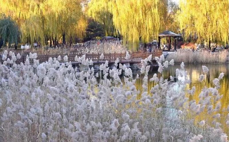 心尘文艺 第1112期(图2)