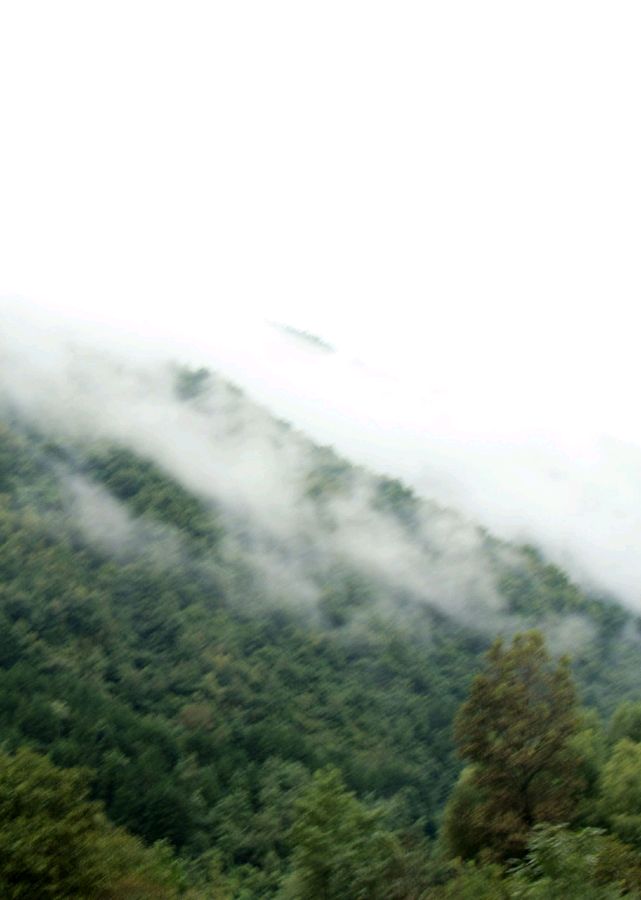 著名朗诵表演艺术家蕾蕾朗诵《我喜欢海南下雨的时候》作者/王全新（图4）