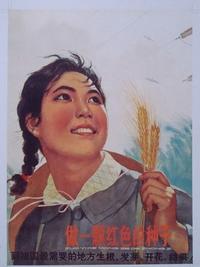 傅景华金笔创作《费刚轶事》（图4）