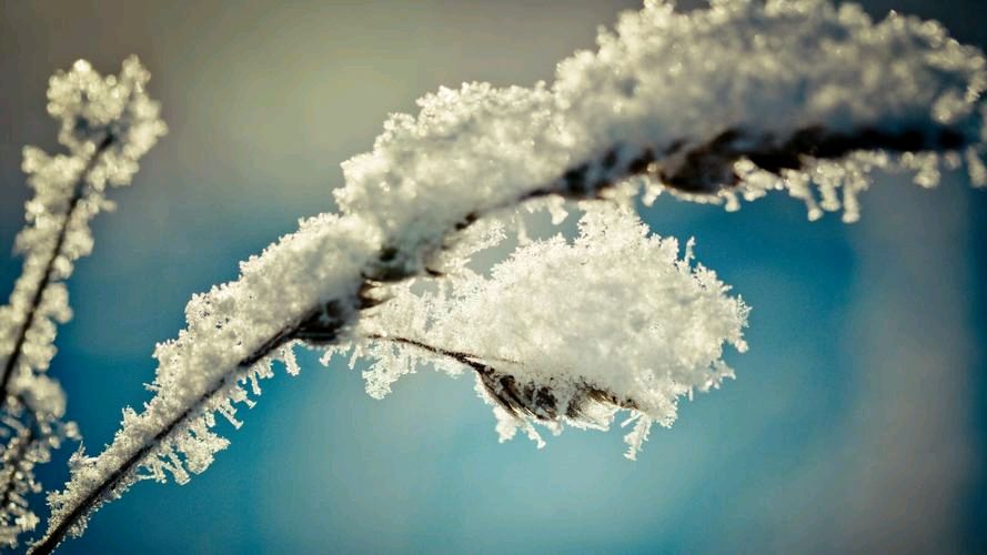 《心中飘落的雪》作者:吴丽跃【诵读:一蓑烟雨】【中国现代诗歌文化传媒】徜徉诗的海聆听天籁之音♬（图3）