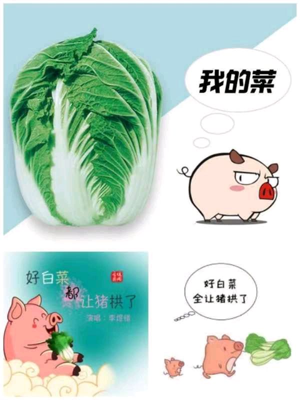 韩庚的《白菜》