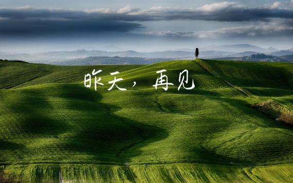 《人生芯片》（外一首）作者:吴丽跃【主播:老红酒】【中国现代诗歌文化传媒】徜徉诗的海洋聆听天籁之音♬（图5）