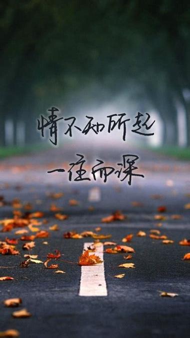 《人生芯片》（外一首）作者:吴丽跃【主播:老红酒】【中国现代诗歌文化传媒】徜徉诗的海洋聆听天籁之音♬（图4）