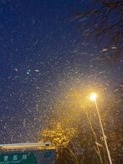 《等一场雪》作者:黑子【主播:长弓雅士】【桃源国际诗歌集团】用声音传递温暖以诵读致敬人生♬（图5）