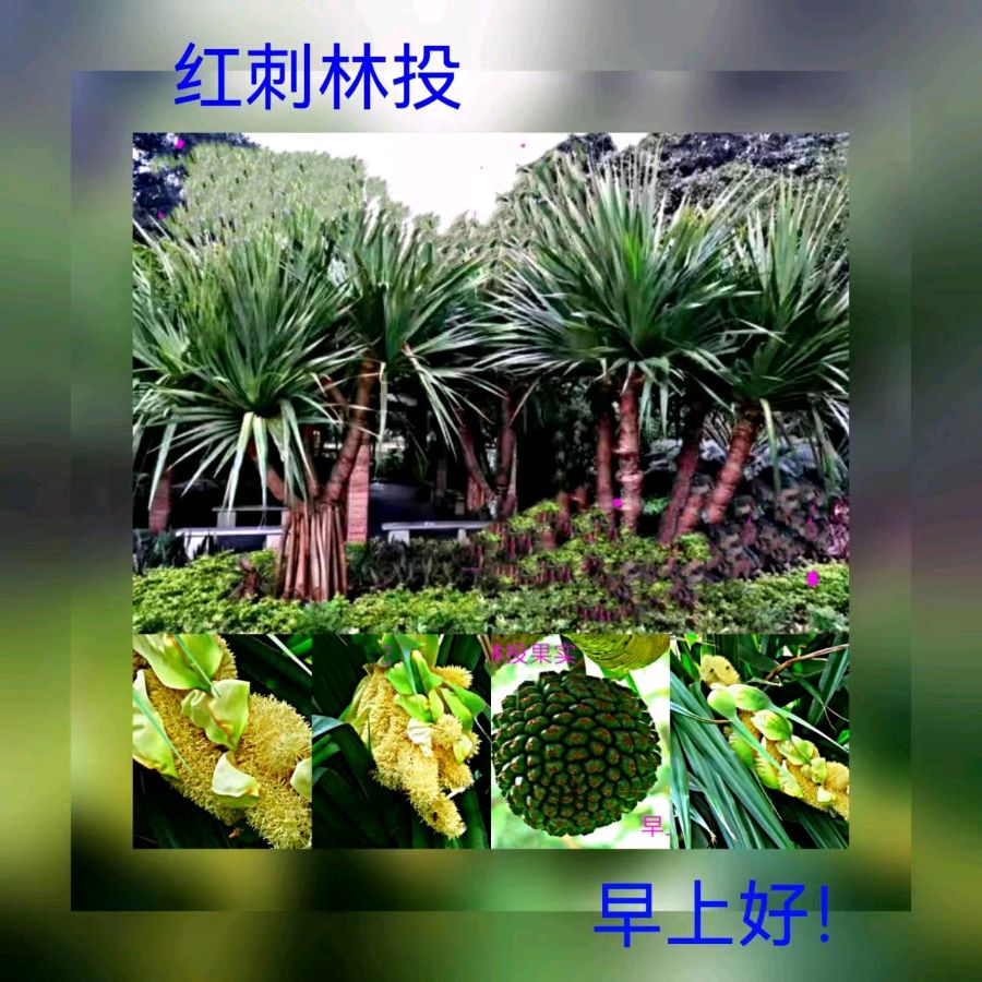 联机全球发布马洪武作品欣赏（图355）