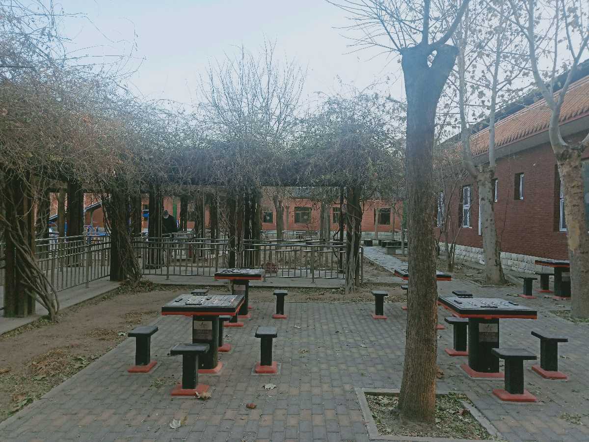 北京诗人吴卫东：《冬日吟哦》（图8）