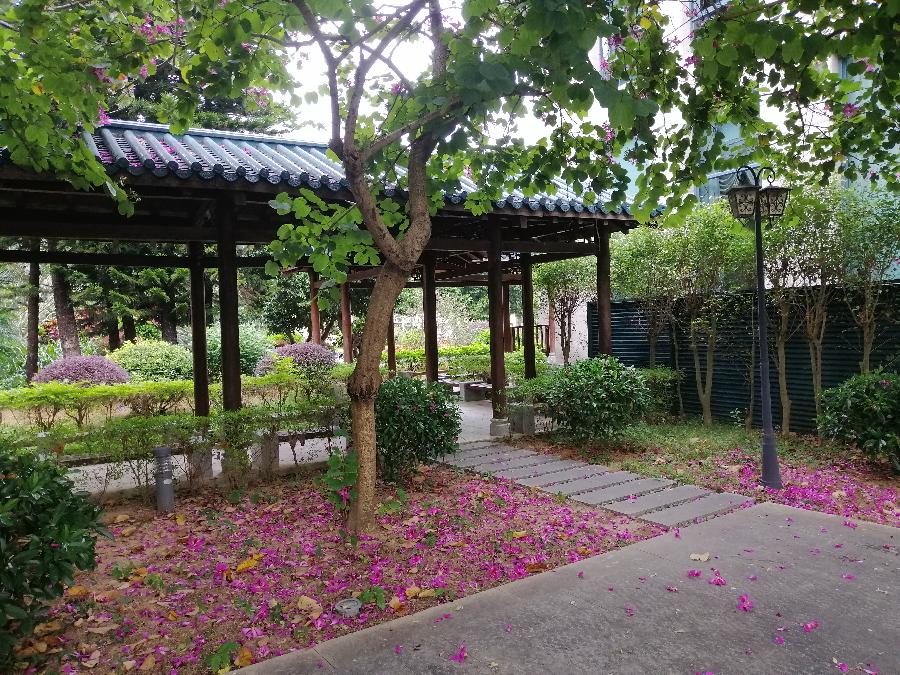 鹊桥仙 生活（二首）文／江冲