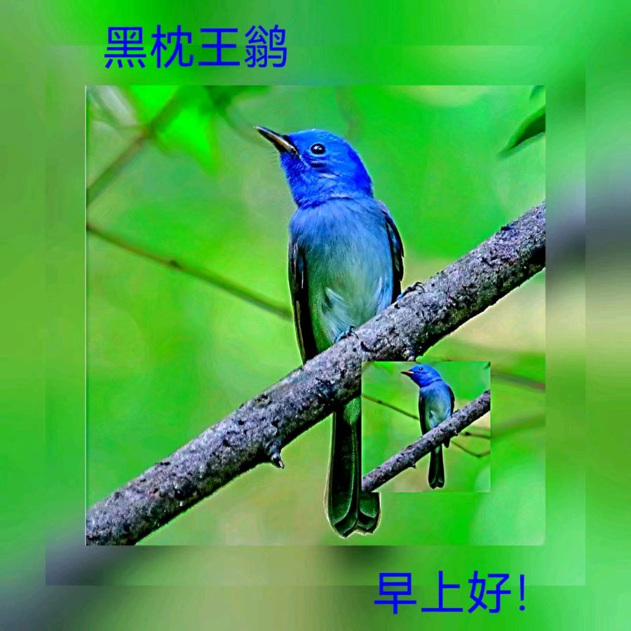联机全球发布马洪武作品欣赏（图353）