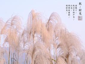 联机全球发布张维清作品欣赏（图101）