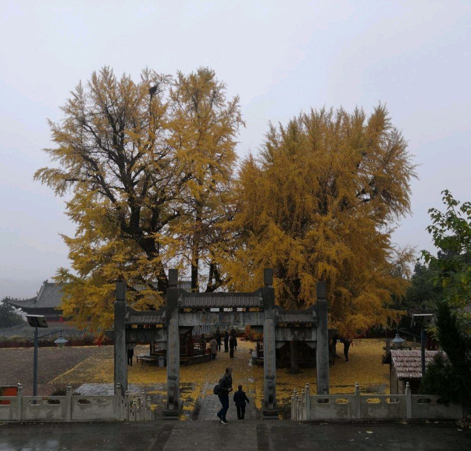 【荣耀中国】唐增虎老师诗词欣赏（图5）