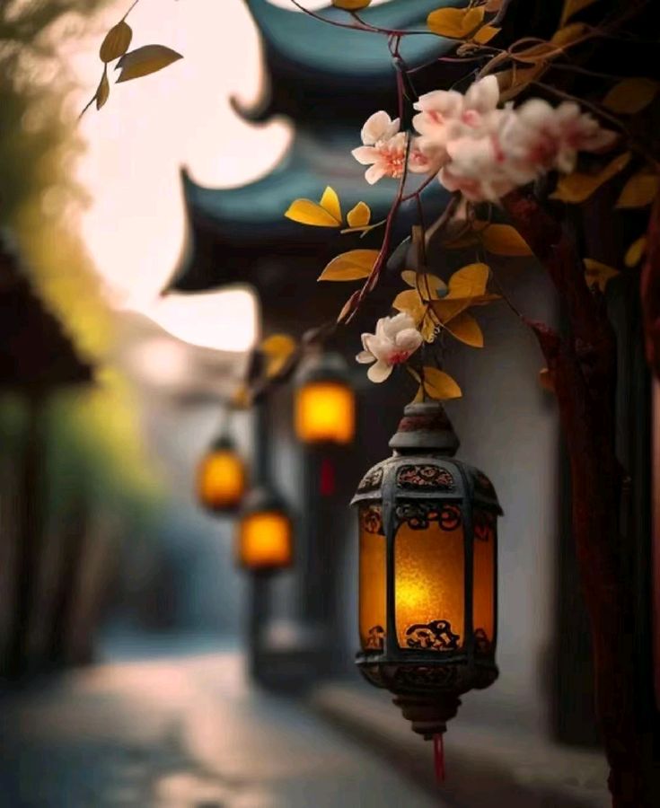 北乡朗诵【双向奔赴】作者/雷金钟（图8）