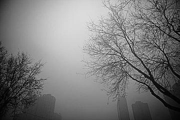 《阴霾》作者:春羽【主播:清泉】【桃源国际诗歌集团】用声音传递温暖以诵读致敬人生♬（图5）