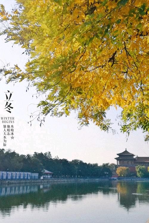 《立冬》作者:雪原（甘肃）主播:丹桂【桃源国际诗歌集团】用声音传递温暖以诵读致敬人生♬（图6）