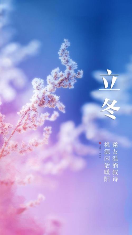 《立冬》作者:雪原（甘肃）主播:丹桂【桃源国际诗歌集团】用声音传递温暖以诵读致敬人生♬（图5）