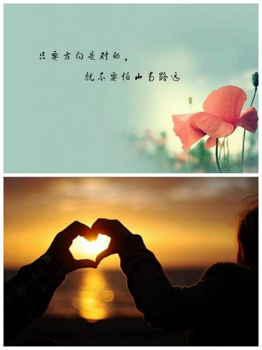 中华诗艺社黑龙江分社微刊第270期(图6)