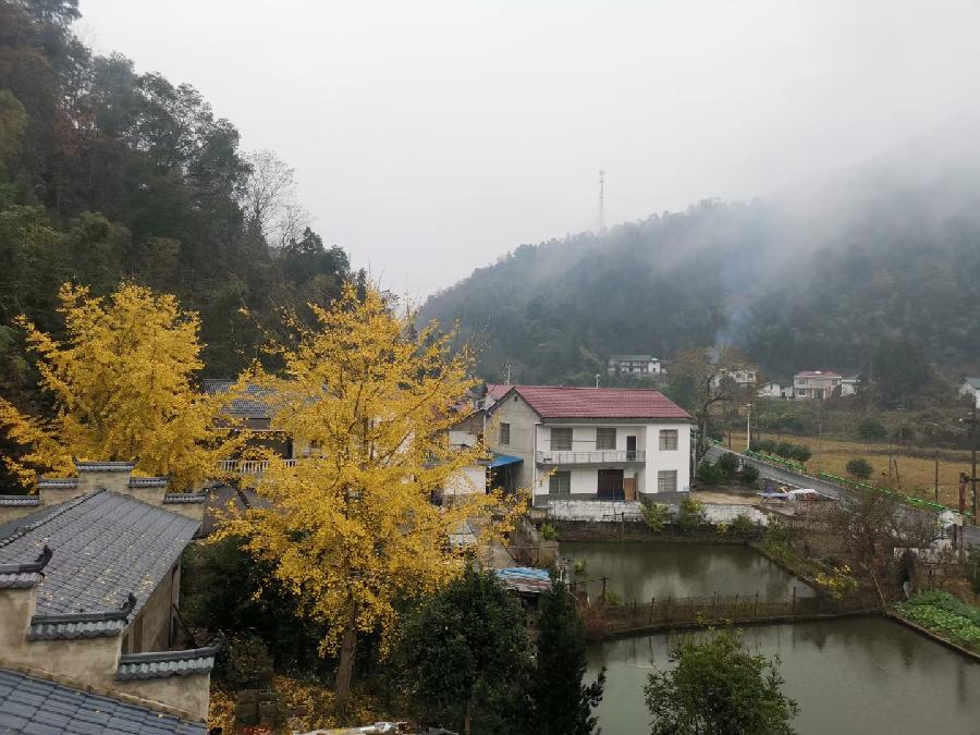 菩萨蛮·看雨（文/许碧霞）……莲叶之珠文学社（图3）