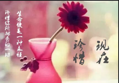 金子朗诵《金句》专集之八；收集：金华(李敬党)；编辑：开心快乐【运河之春】(第112期)（图8）
