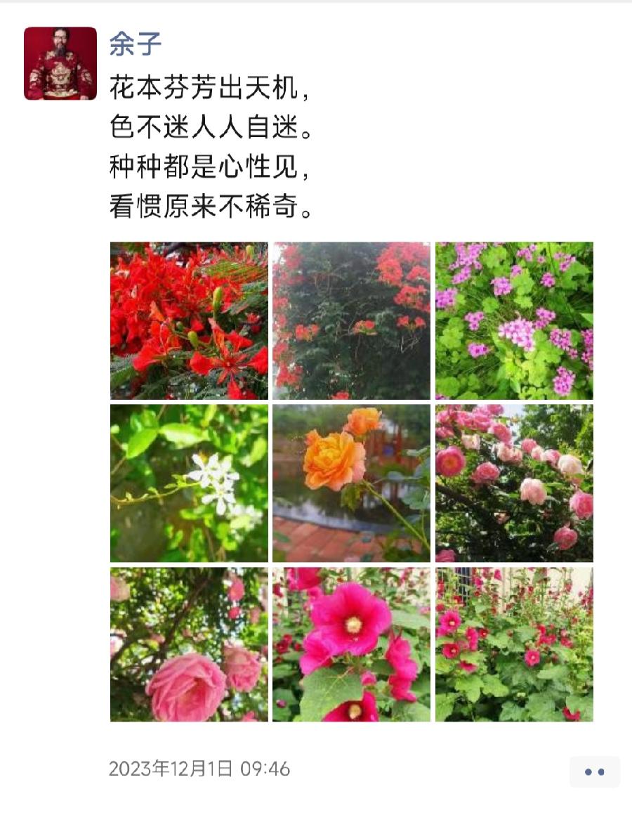 书画家余子题图诗摄影合集（图16）