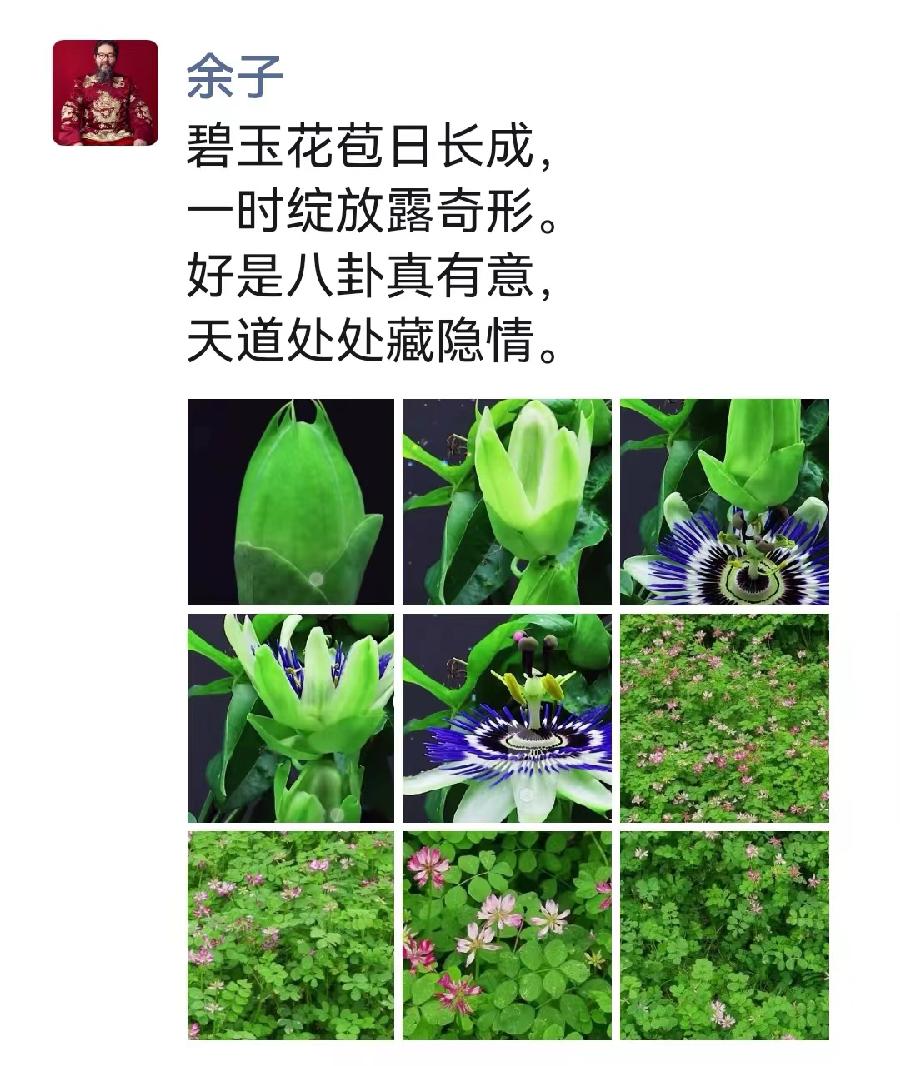 书画家余子题图诗摄影合集（图10）