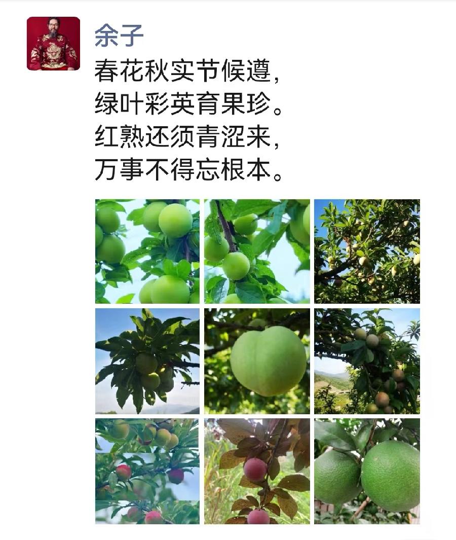书画家余子题图诗摄影合集（图11）