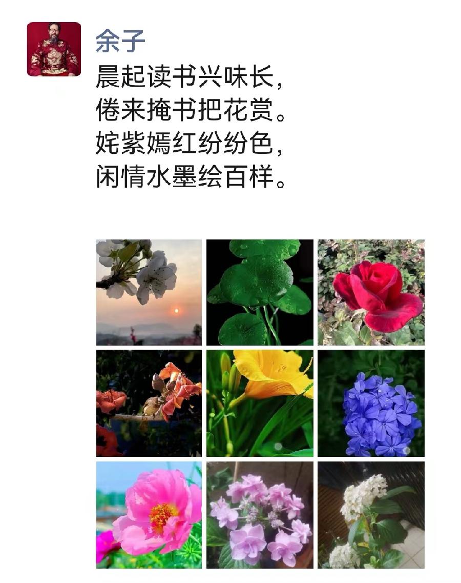 书画家余子题图诗摄影合集（图13）