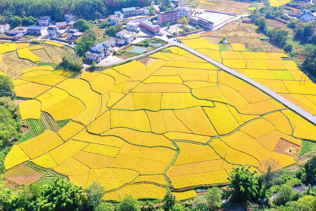 七绝·赞会昌(顶针格回环体)作者/邹晓华……莲叶之珠文学社(图9)