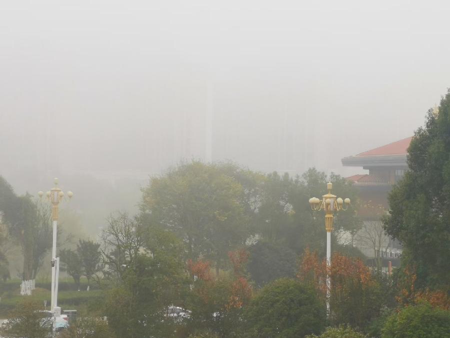 霜天晓角·冬雾（文/许碧霞）……莲叶之珠文学社