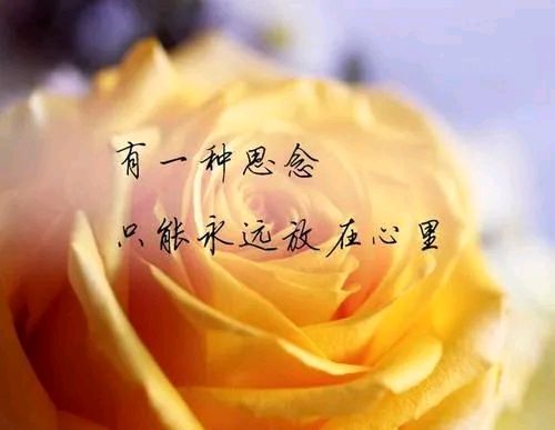 【中国长江文学社】《你在窗前种下的那棵树》作者 李爱庆//主播 缈邈//编辑 岁月静好 第7007期（图6）