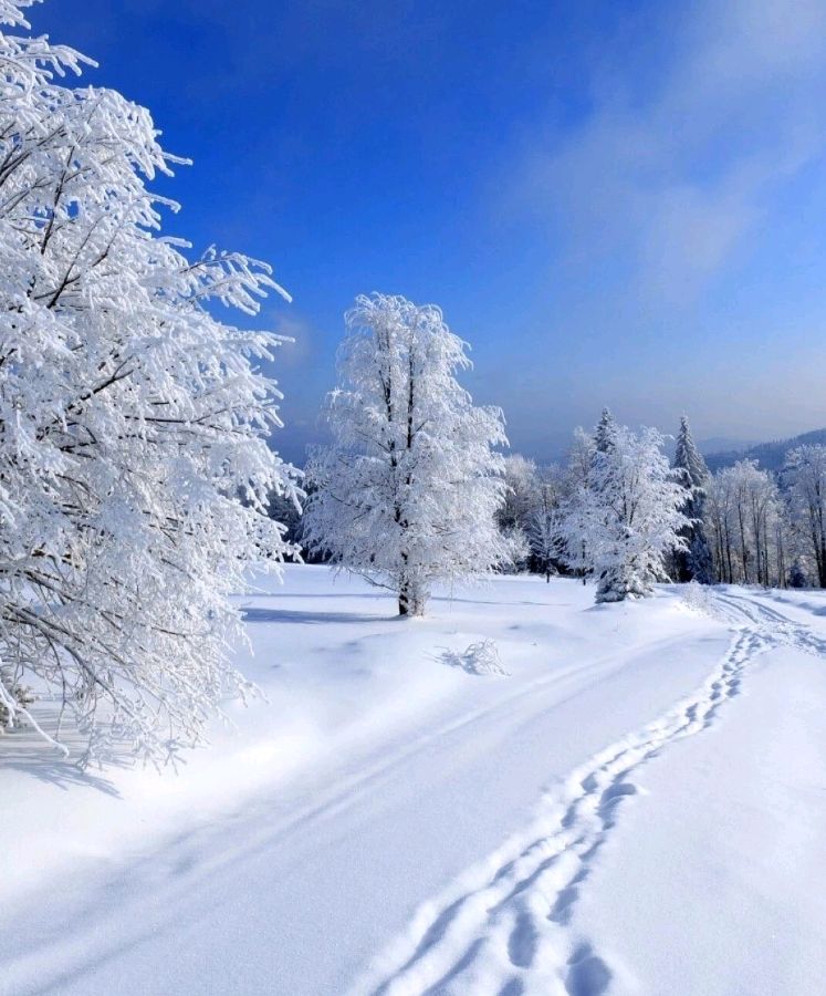 蝶恋花· 大雪(外一首) 作者/ 岩石（图4）