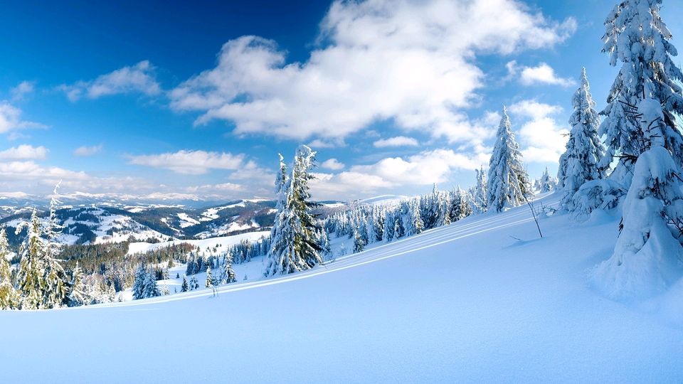 蝶恋花· 大雪(外一首) 作者/ 岩石（图5）