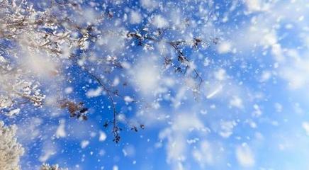 《雪，冬天的精灵》作者:刘嘉来（心海同舟）主播:安心的味道【桃源国际诗歌集团】桃源♬ 馨声（图8）