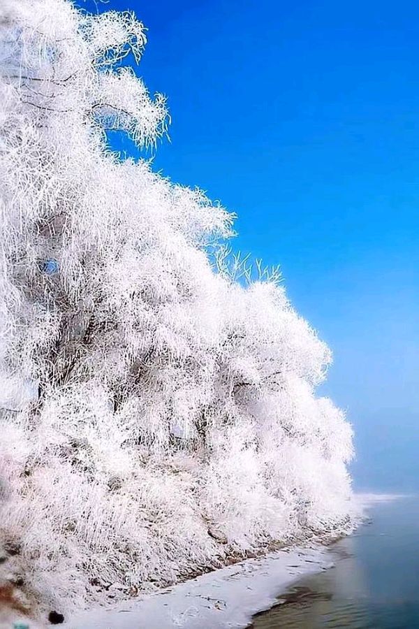 联机全球发布李明雅作品欣赏（图5）