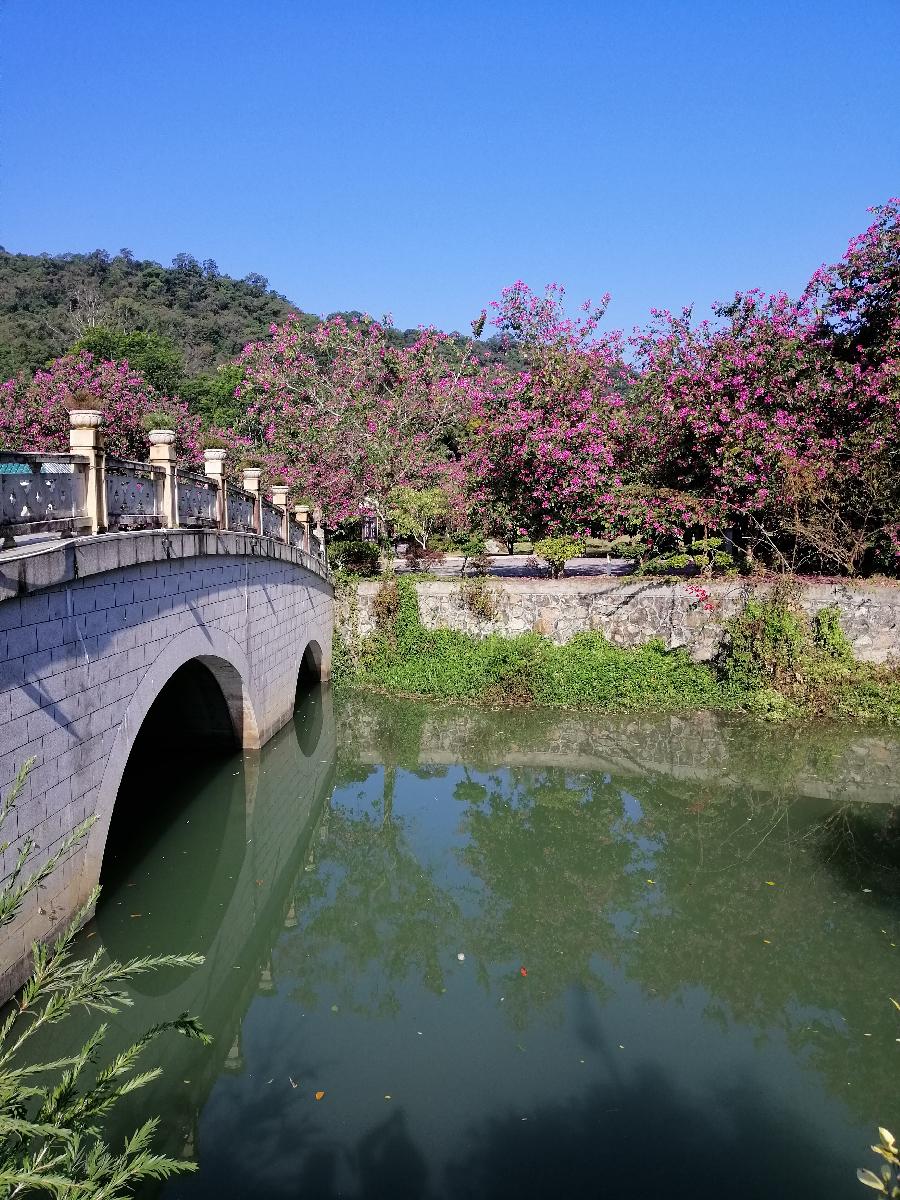 萧水金格律诗一首(图3)
