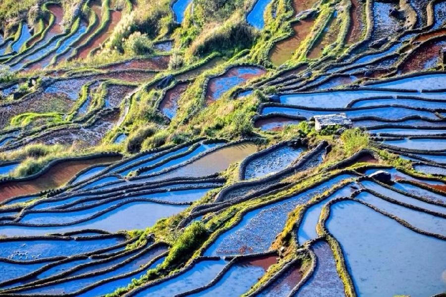 七律-哈尼梯田赞～诗||吕志学（图8）