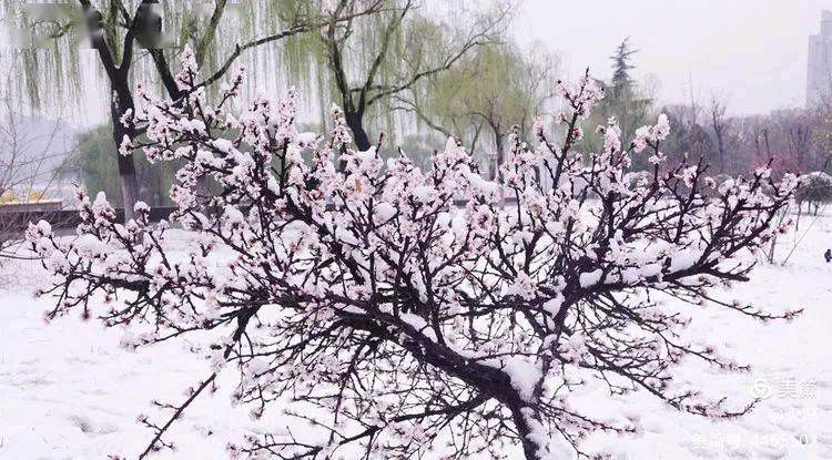 《冬天的罅隙》作者/吴鸿 主播/化虹 主编/胡琴（图4）