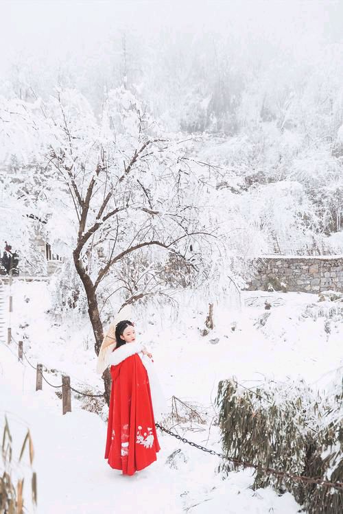 【新山东文学社】《欢迎你，雪花》作者/沙漠胡杨 主播/远方（图3）