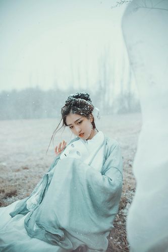 【新山东文学社】《欢迎你，雪花》作者/沙漠胡杨 主播/远方（图4）