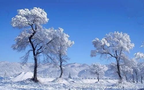 孔德平大雪诗词选八首(图12)