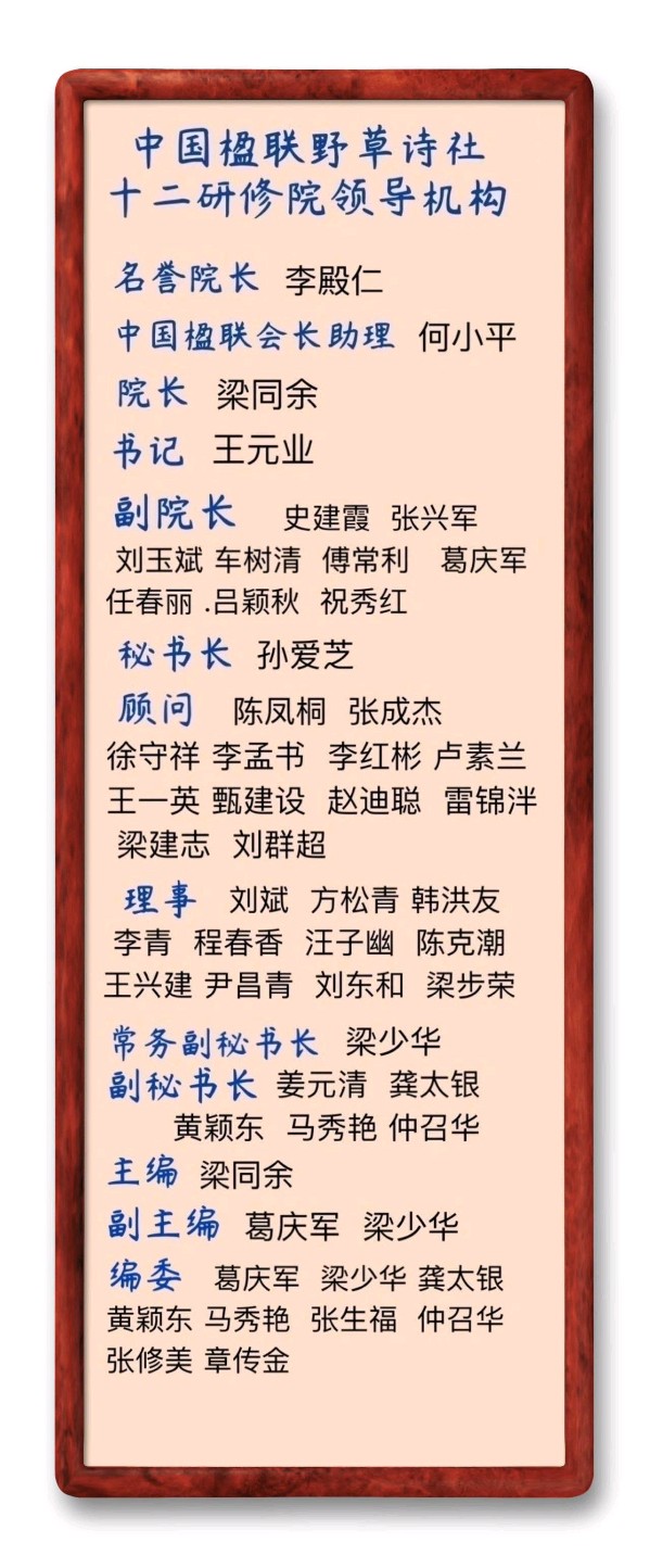 野草诗社十二(江苏)研修院037期微刊《雪压青松更郁葱》(图80)