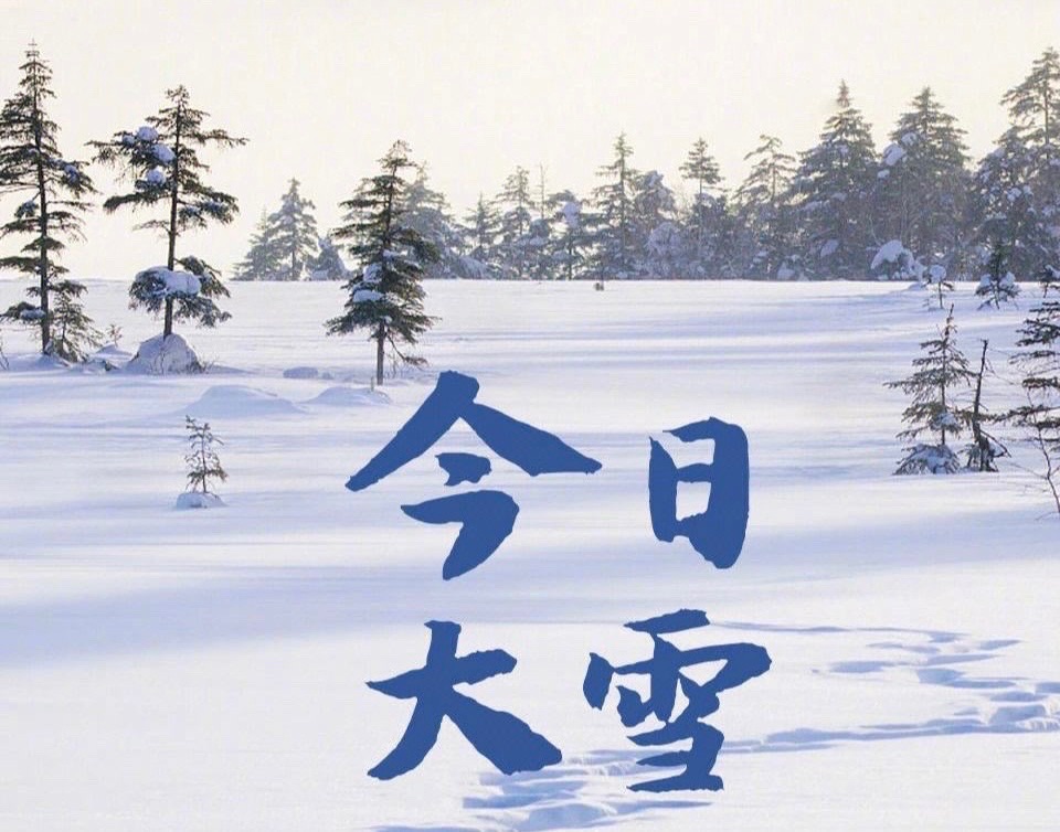 【新诗大观】大雪||文/金粉玉蝶