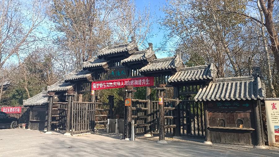 坐着高铁去聊城(歌词)（图3）